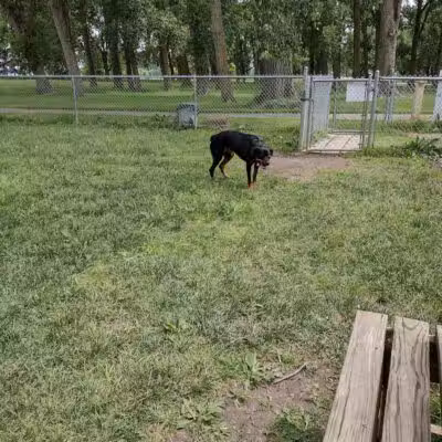 Dog Park - Celina, OH