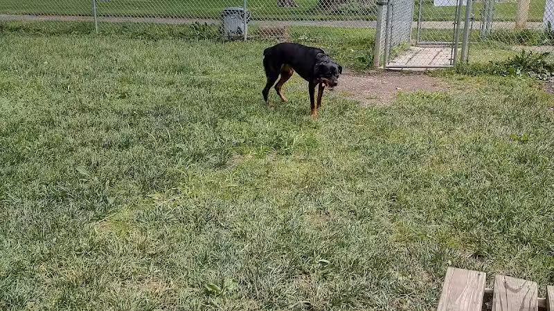 Dog Park - Celina, OH