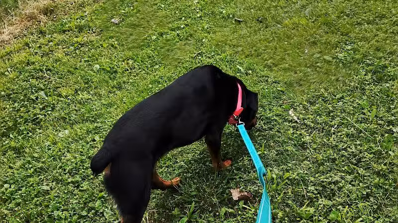 Dog Park - Celina, OH