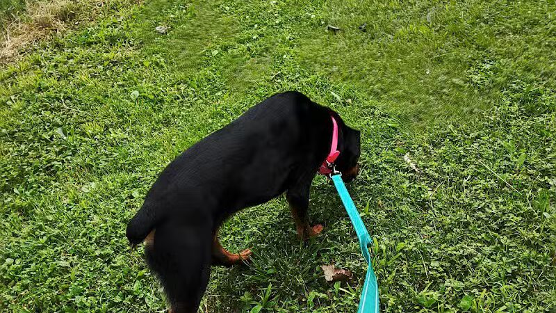 Dog Park - Celina, OH