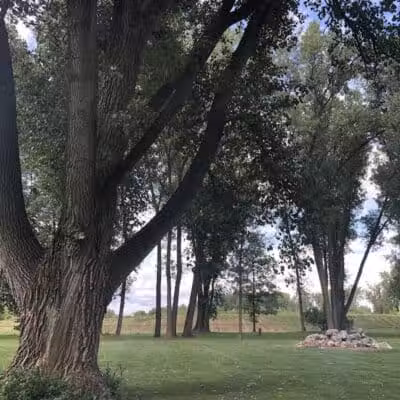 Dog Park - Celina, OH