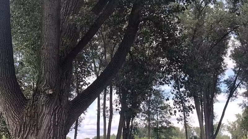 Dog Park - Celina, OH