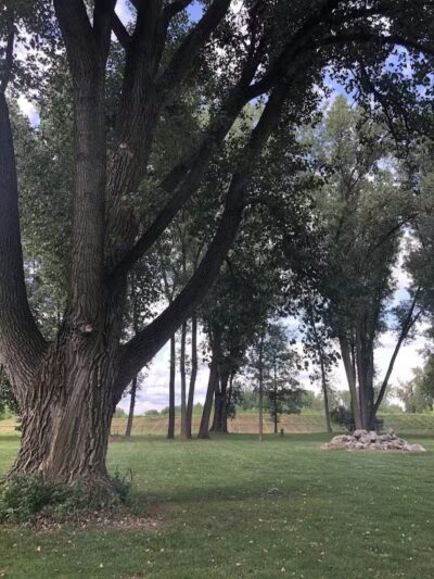 Dog Park - Celina, OH