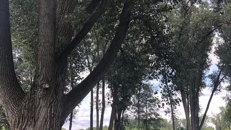 Dog Park - Celina, OH