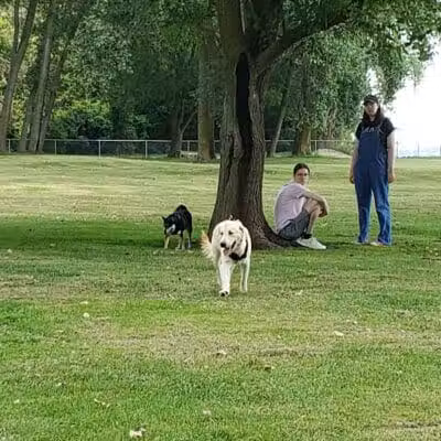 Dog Park - Celina, OH