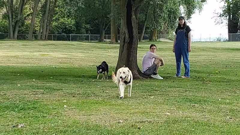 Dog Park - Celina, OH