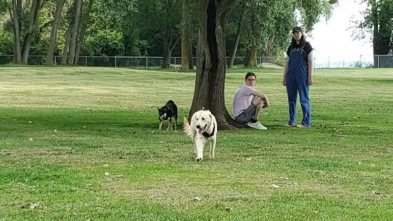 Dog Park - Celina, OH