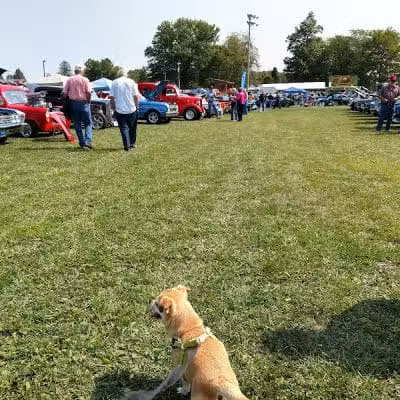 Memorial Park - Centerburg, OH