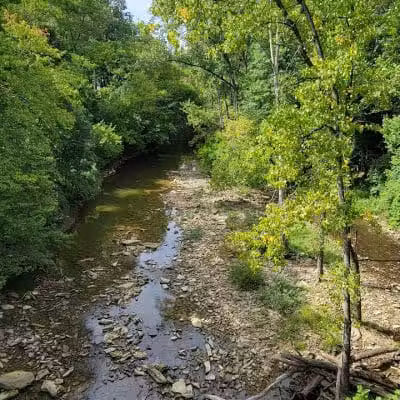 Newell Recreation Preserve, Licking County - Centerburg, OH