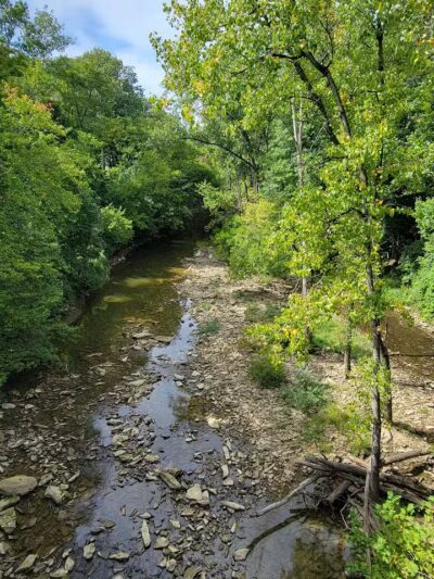 Newell Recreation Preserve, Licking County - Centerburg, OH