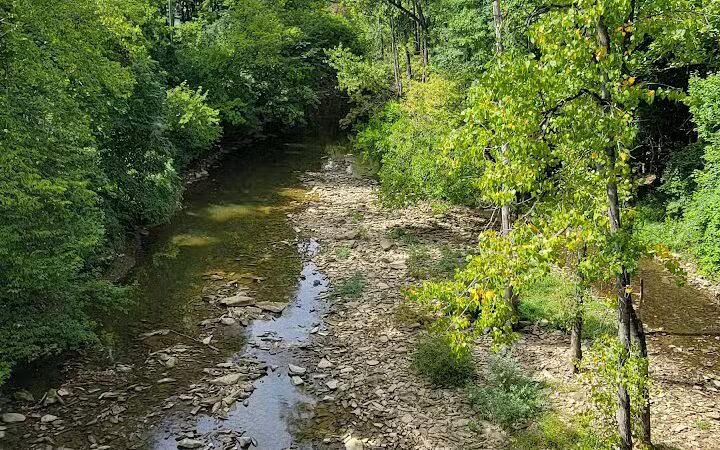 Newell Recreation Preserve, Licking County - Centerburg, OH