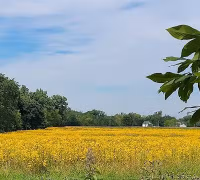 Newell Recreation Preserve, Licking County - Centerburg, OH