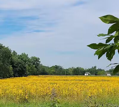Newell Recreation Preserve, Licking County - Centerburg, OH
