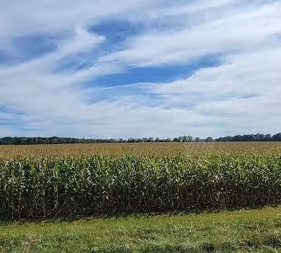 Newell Recreation Preserve, Licking County - Centerburg, OH