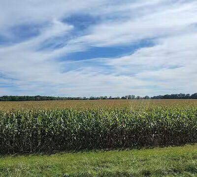 Newell Recreation Preserve, Licking County - Centerburg, OH