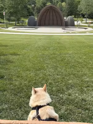 Stubbs Park - Centerville, OH
