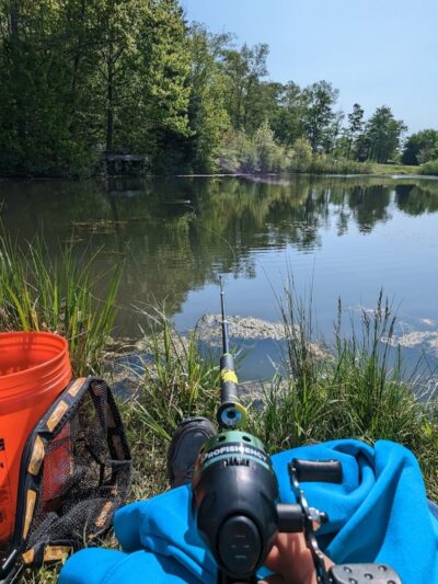 Beartown Lakes Reservation - Chagrin Falls, OH