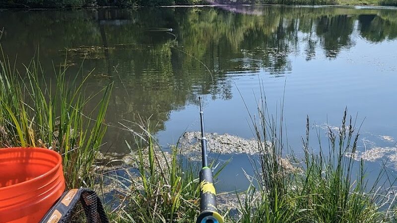 Beartown Lakes Reservation - Chagrin Falls, OH