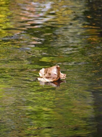 Beartown Lakes Reservation - Chagrin Falls, OH