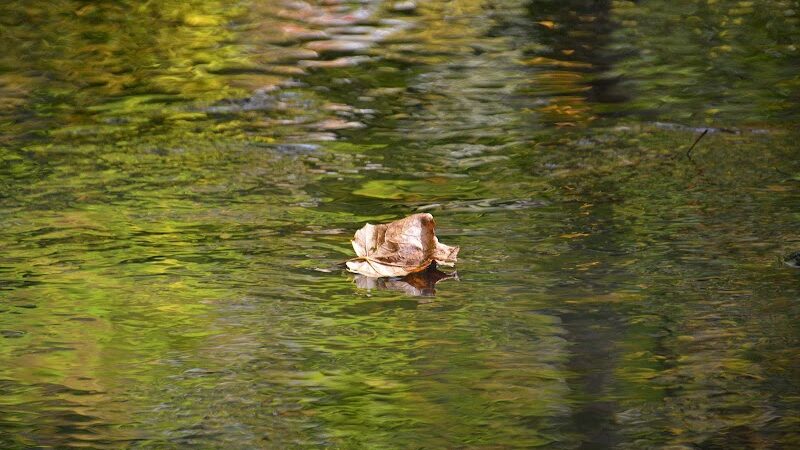 Beartown Lakes Reservation - Chagrin Falls, OH