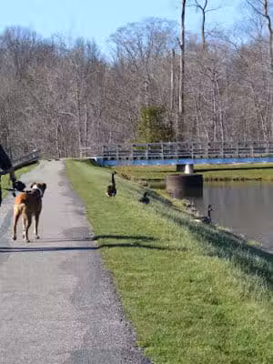 Beartown Lakes Reservation - Chagrin Falls, OH