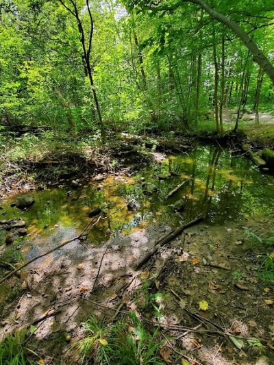 Beartown Lakes Reservation - Chagrin Falls, OH