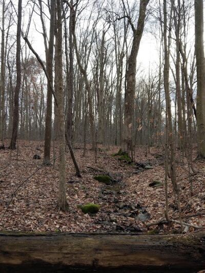 Beartown Lakes Reservation - Chagrin Falls, OH