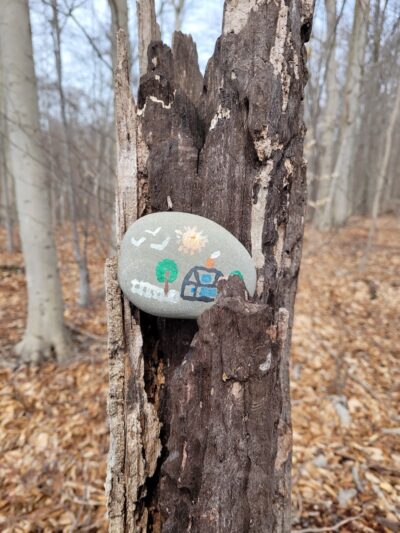 Beartown Lakes Reservation - Chagrin Falls, OH