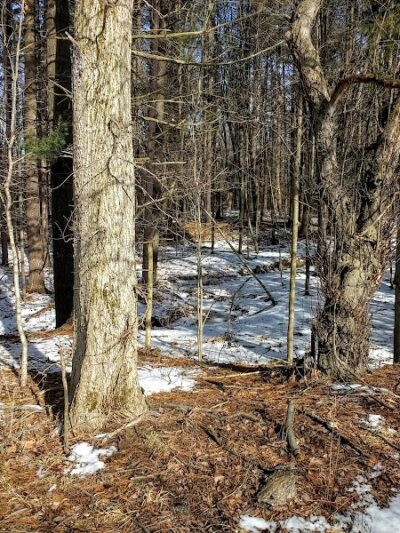 Beartown Lakes Reservation - Chagrin Falls, OH