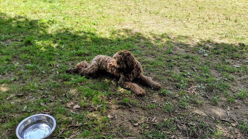 Centerville Mills Dog Park - Chagrin Falls, OH