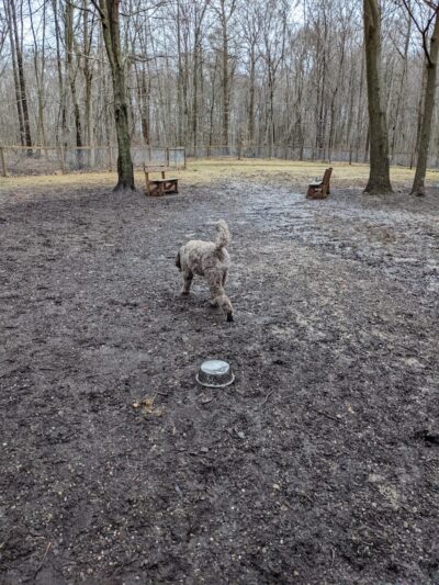 Centerville Mills Dog Park - Chagrin Falls, OH