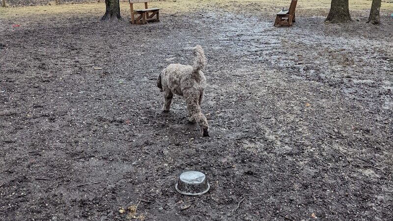 Centerville Mills Dog Park - Chagrin Falls, OH
