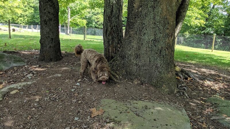 Centerville Mills Dog Park - Chagrin Falls, OH