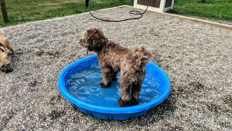 Centerville Mills Dog Park - Chagrin Falls, OH