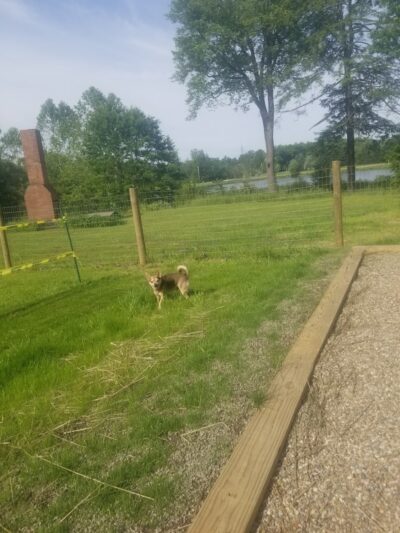 Centerville Mills Dog Park - Chagrin Falls, OH
