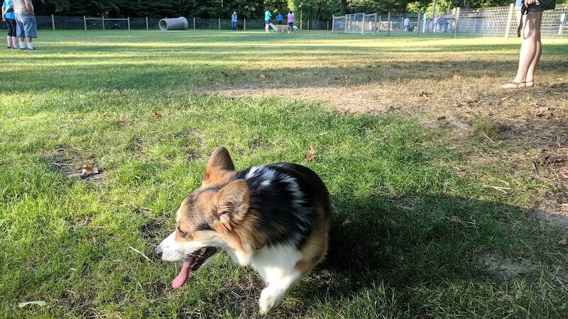 Centerville Mills Dog Park - Chagrin Falls, OH