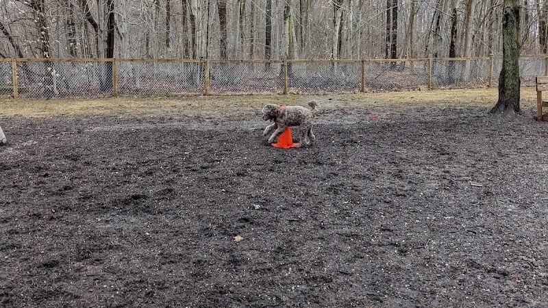 Centerville Mills Dog Park - Chagrin Falls, OH