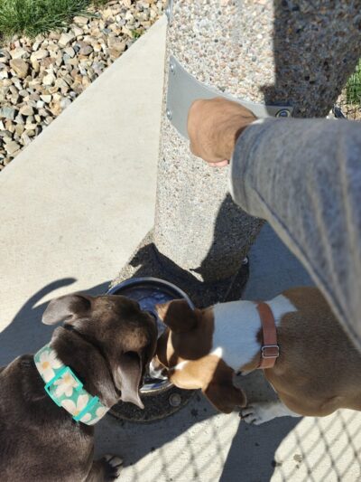 River Run Bark Park - Dog Park - Chagrin Falls, OH