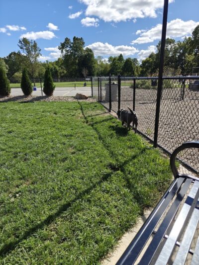 River Run Bark Park - Dog Park - Chagrin Falls, OH