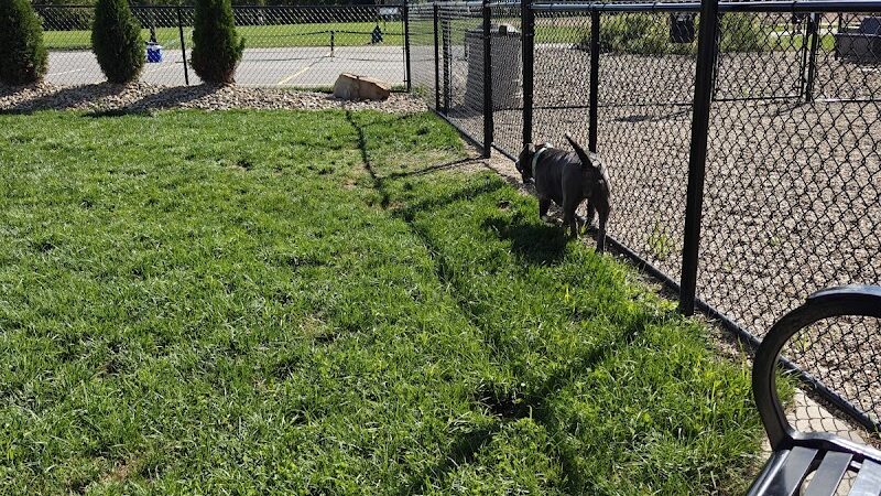 River Run Bark Park - Dog Park - Chagrin Falls, OH