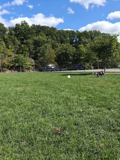 River Run Bark Park - Dog Park - Chagrin Falls, OH