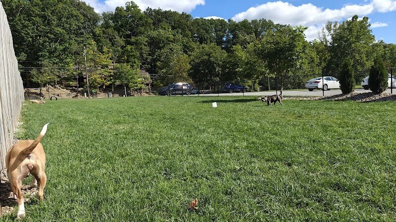 River Run Bark Park - Dog Park - Chagrin Falls, OH