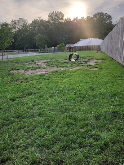 River Run Bark Park - Dog Park - Chagrin Falls, OH