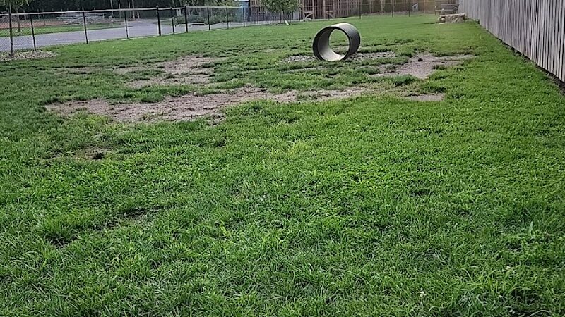 River Run Bark Park - Dog Park - Chagrin Falls, OH