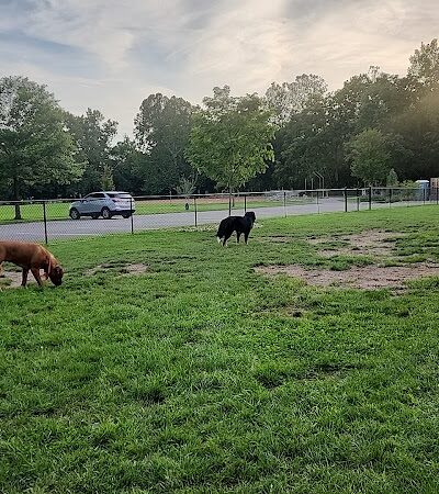 River Run Bark Park - Dog Park - Chagrin Falls, OH