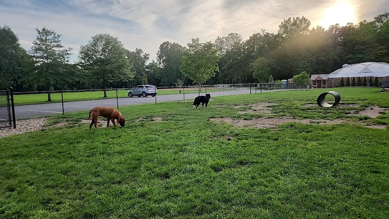River Run Bark Park - Dog Park - Chagrin Falls, OH