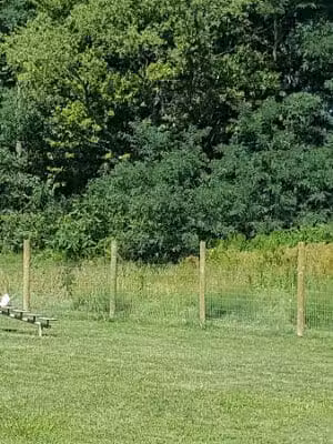 Timberlake Park - Chagrin Falls, OH