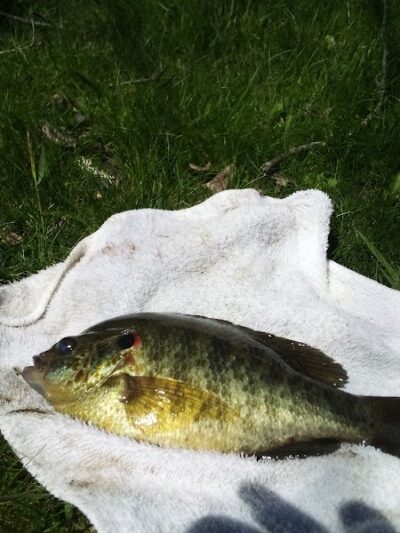 Timberlake Park - Chagrin Falls, OH