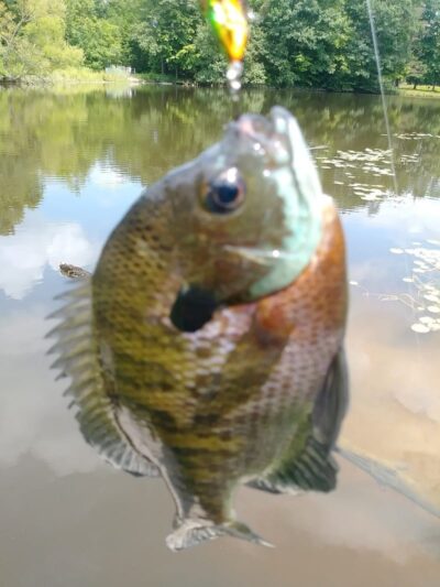 Timberlake Park - Chagrin Falls, OH