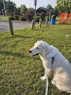 Chardon Township Park - Chardon, OH